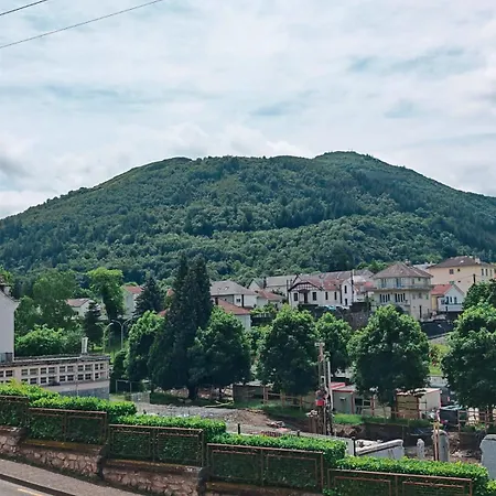 Appartement Très Beau 3 Pièces Jusqu'à 6 Voyageurs - El Paradisio Lourdes